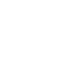 Skale Strategy